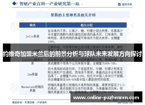 约维奇加盟米兰后的前景分析与球队未来发展方向探讨