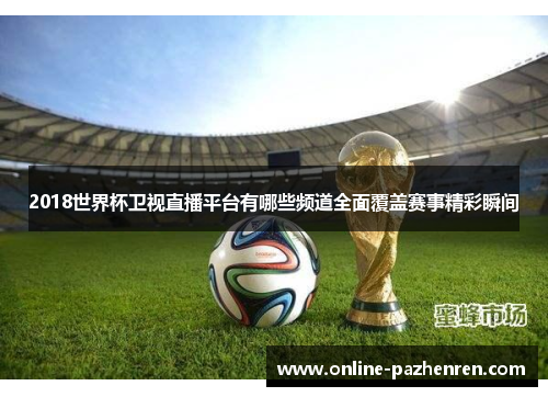 2018世界杯卫视直播平台有哪些频道全面覆盖赛事精彩瞬间