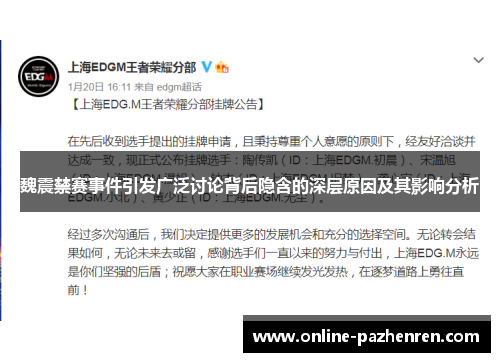 魏震禁赛事件引发广泛讨论背后隐含的深层原因及其影响分析