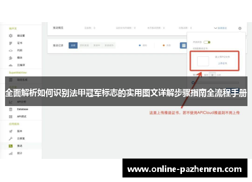 全面解析如何识别法甲冠军标志的实用图文详解步骤指南全流程手册